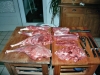 imm009_10