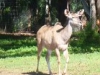 025
