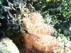 20111009_037