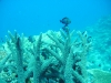 20111016_003