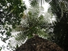 20111021_007