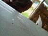 20111207_033