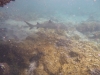 20111207_077