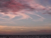 walpole_001