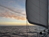 walpole_005