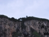 walpole_064