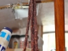 walpole_072