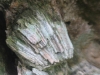 walpole_111