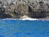 walpole_205