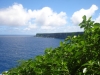 walpole_223