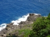 walpole_228