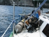 walpole_253