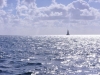walpole_289