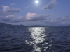 walpole_290
