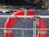 eildon_013
