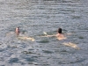 eildon_015