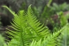 DSC_9429.JPG