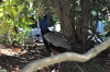DSC_9607.JPG