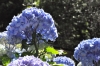 DSC_9619.JPG