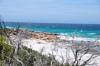 DSC_9764.JPG